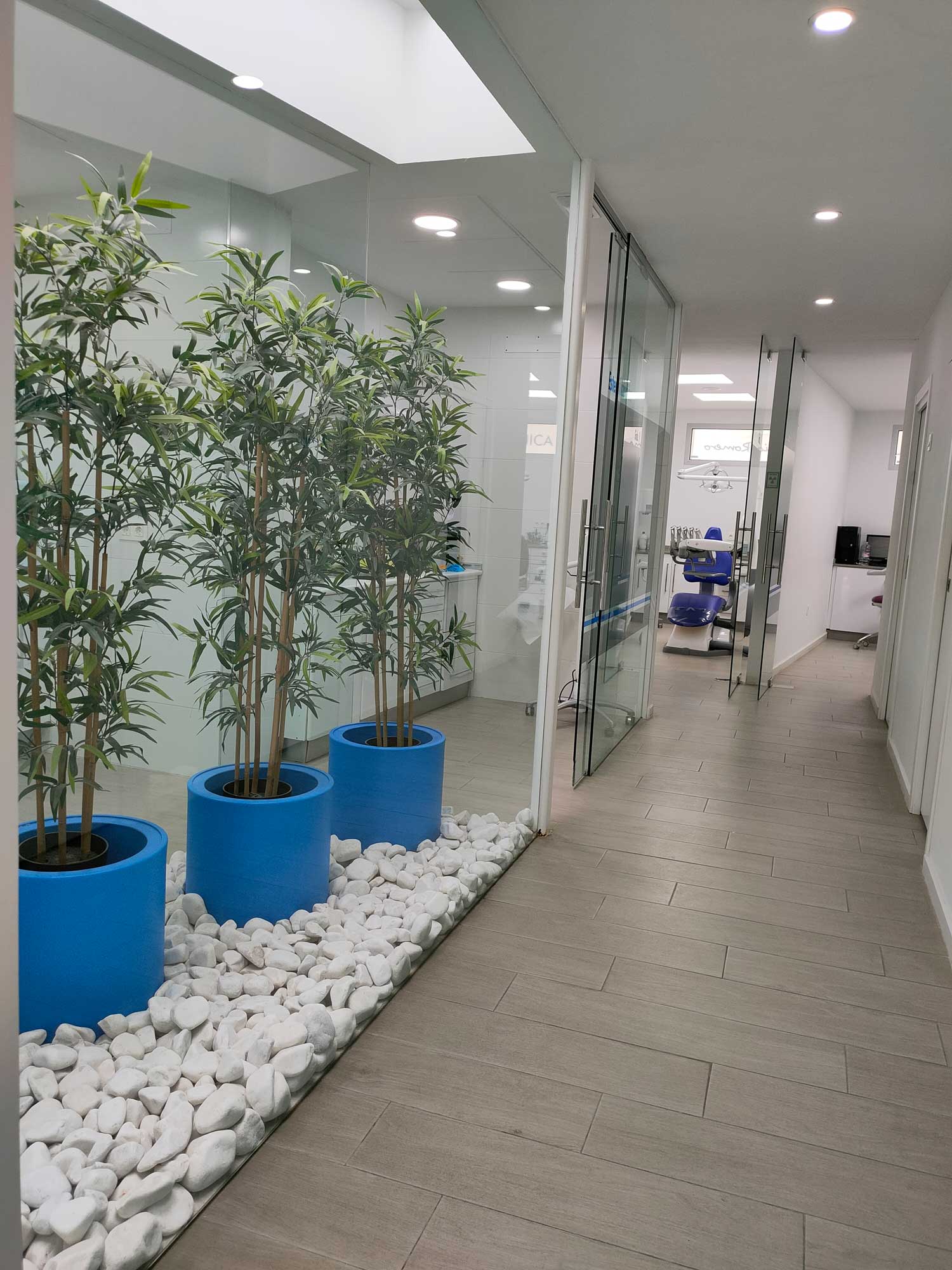 clínica dental en Cartagena, Murcia; clínica dental en Murcia, centro dental en Cartagena, Murcia; centro odontológico en Cartagena, Murcia.